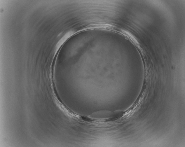 X0000069810907200605191042