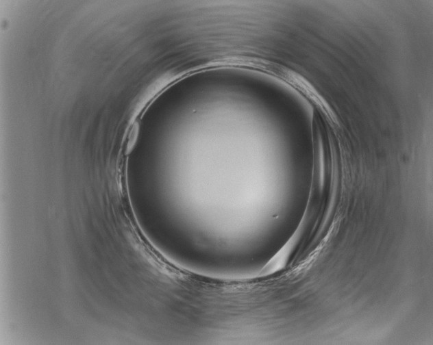 X0000069810908200605191042