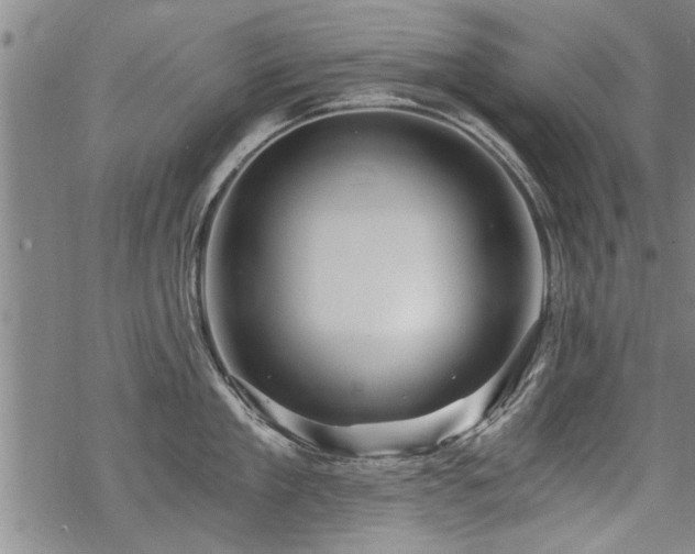 X0000069810909200605191042