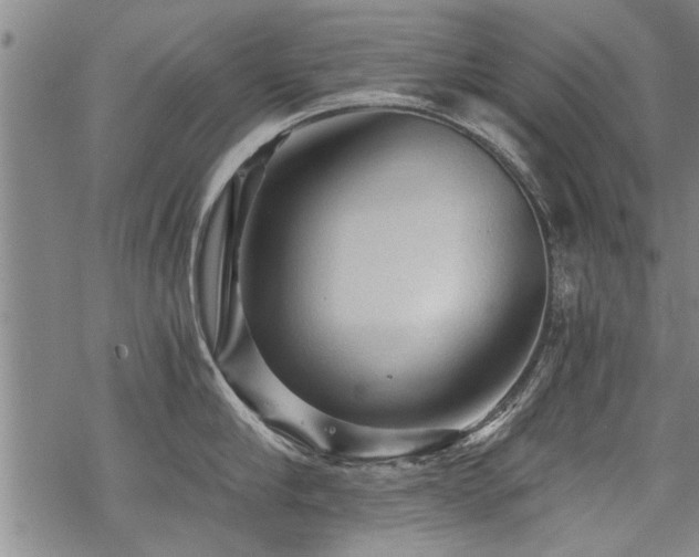 X0000069810910200605191042