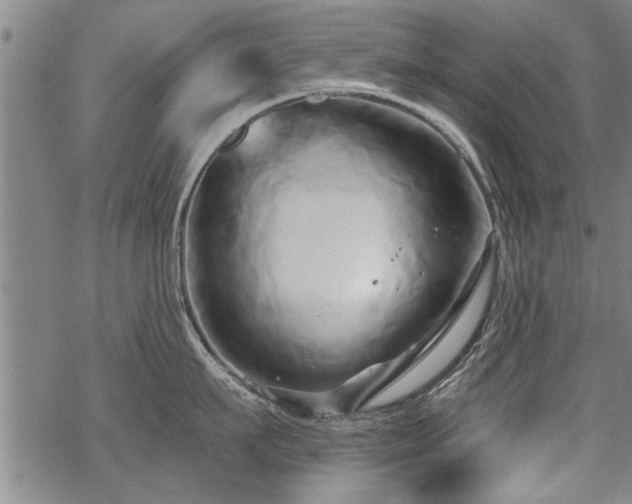 X0000069810911200605191042