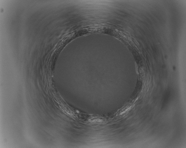 X0000069810913200605191041