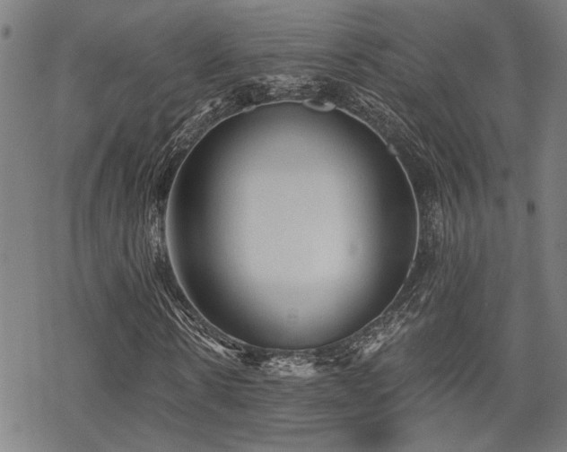 X0000069810914200605191041