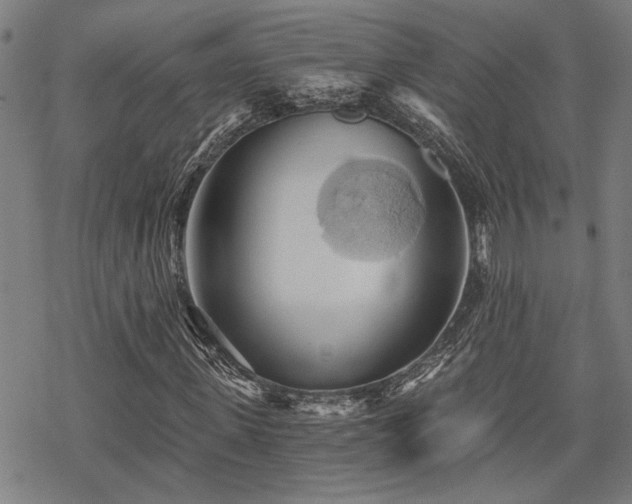 X0000069810915200605191041