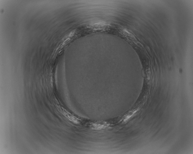 X0000069810916200605191041