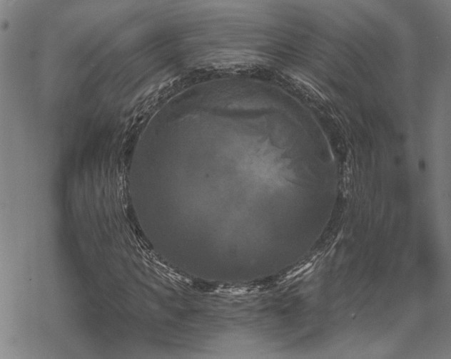 X0000069810917200605191041