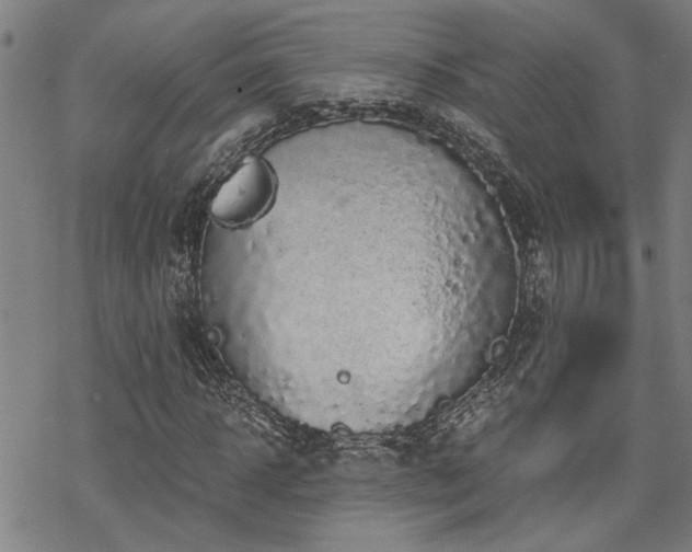 X0000069810918200605191042