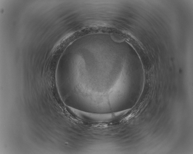 X0000069810919200605191042