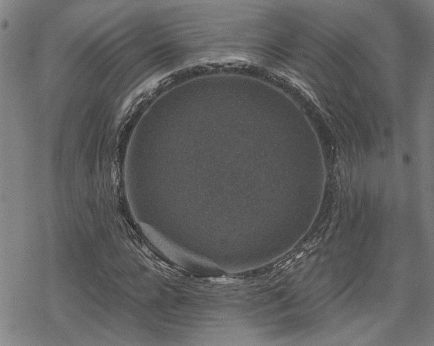 X0000069810920200605191042