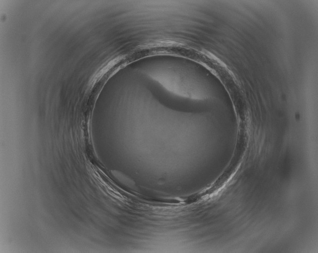 X0000069810921200605191042