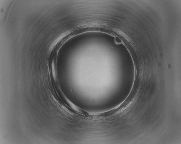 X0000069810922200605191042