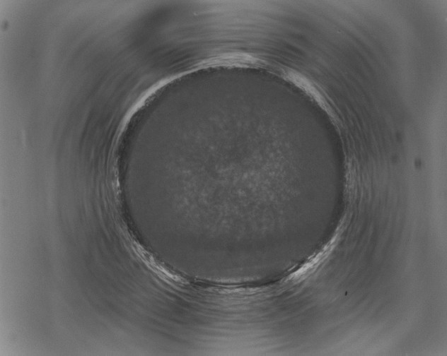 X0000069810923200605191042