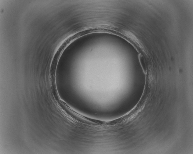 X0000069810924200605191042