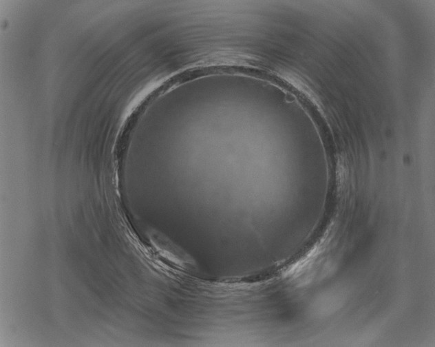 X0000069810925200605191042