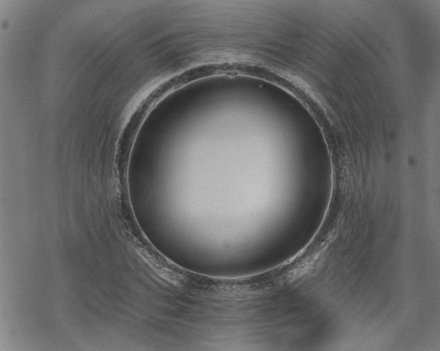 X0000069810927200605191042