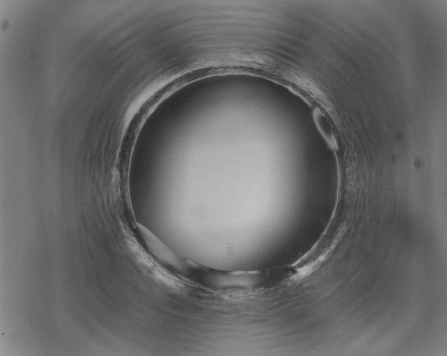 X0000069810928200605191042