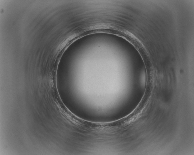 X0000069810929200605191042