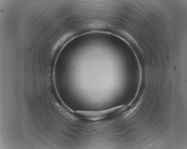 X0000069810930200605191042