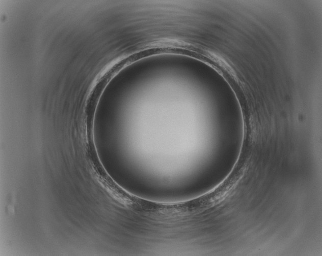 X0000069810931200605191042