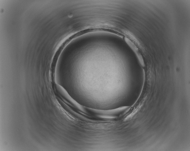 X0000069810932200605191042