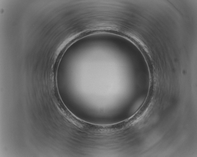 X0000069810933200605191042