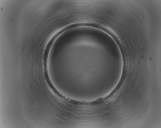 X0000069810935200605191042