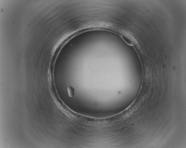 X0000069810936200605191042