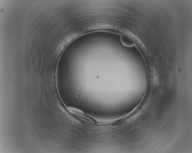 X0000069810937200605191042