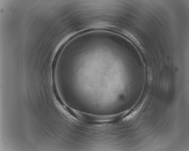 X0000069810939200605191042