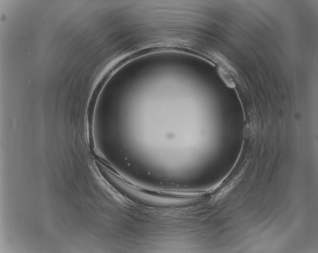 X0000069810940200605191042