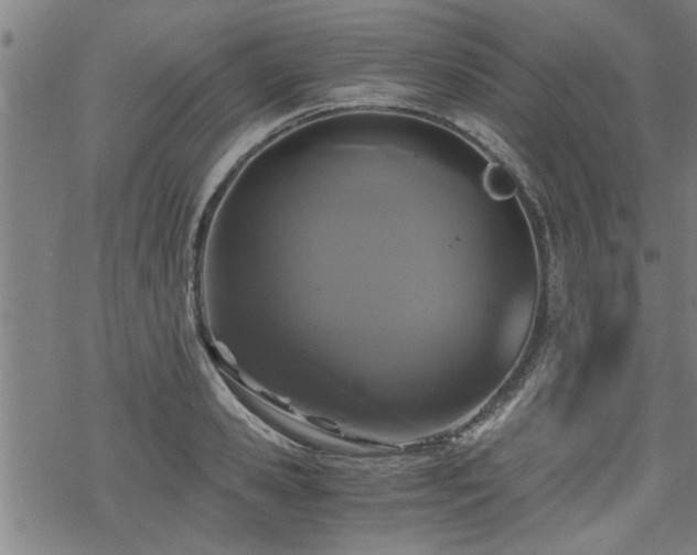 X0000069810941200605191042