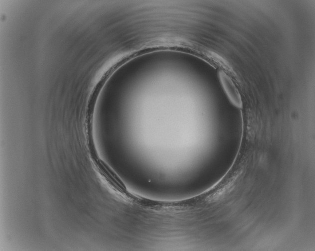 X0000069810942200605191042