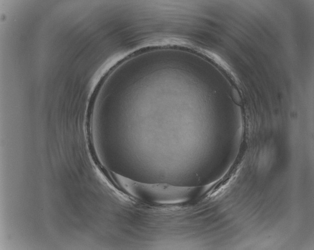 X0000069810943200605191042