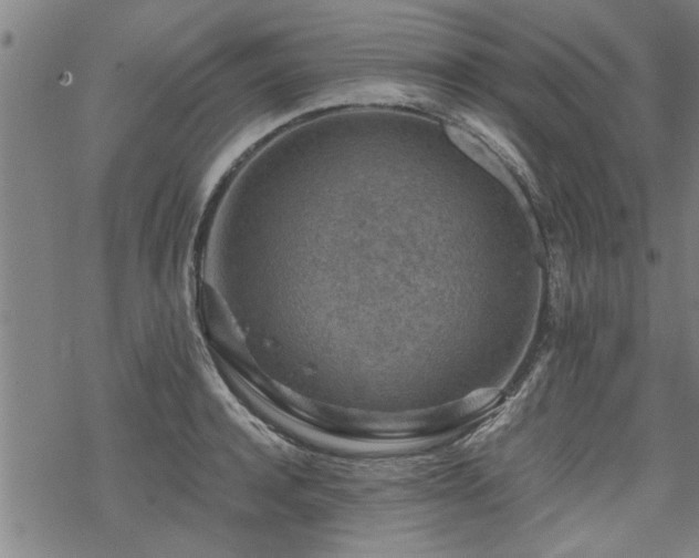 X0000069810944200605191042