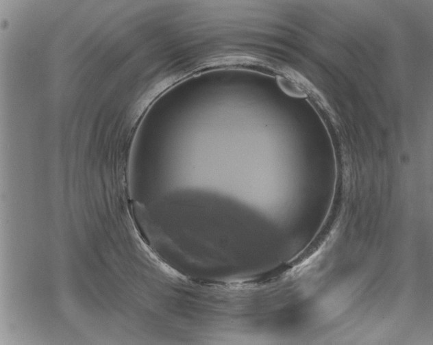 X0000069810945200605191042