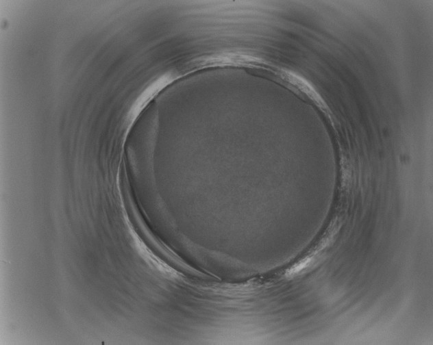 X0000069810946200605191042