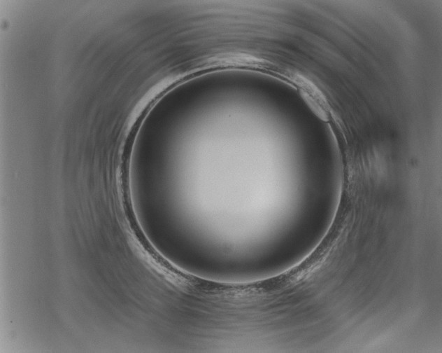 X0000069810947200605191042