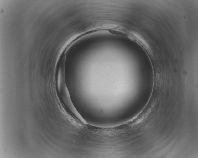 X0000069810948200605191042