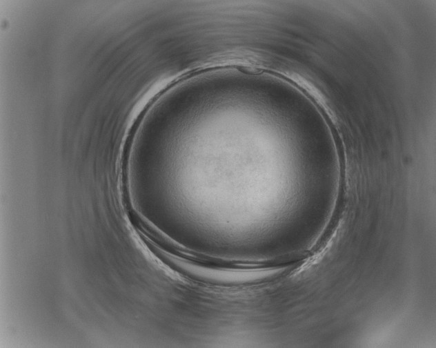 X0000069810949200605191042