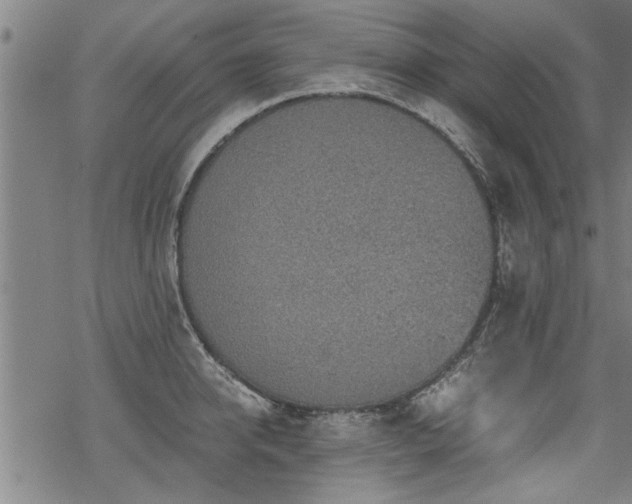 X0000069810950200605191042