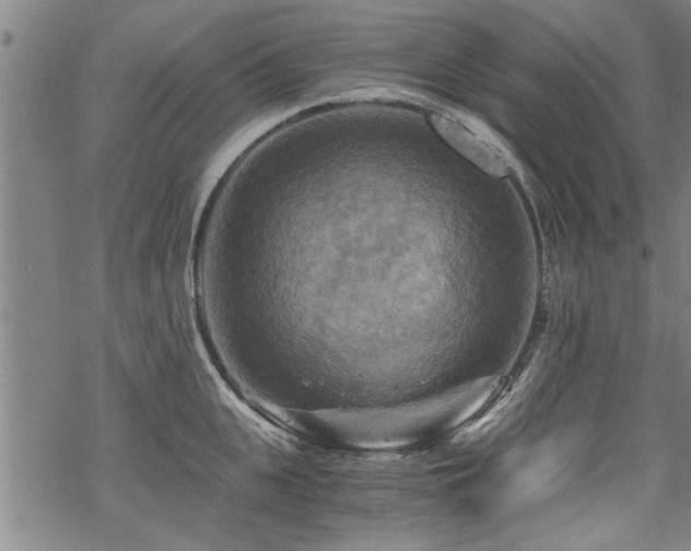 X0000069810951200605191042