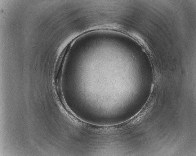 X0000069810952200605191042