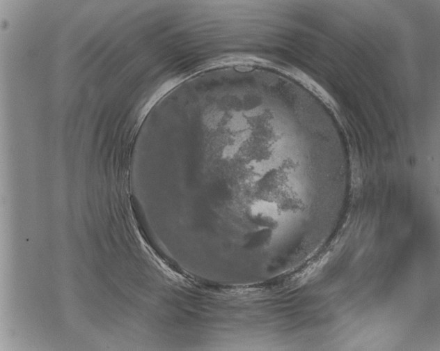 X0000069810953200605191042