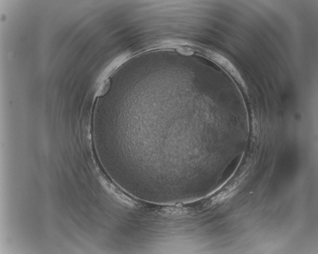 X0000069810954200605191042