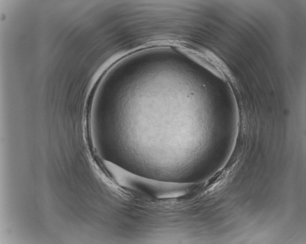 X0000069810955200605191042