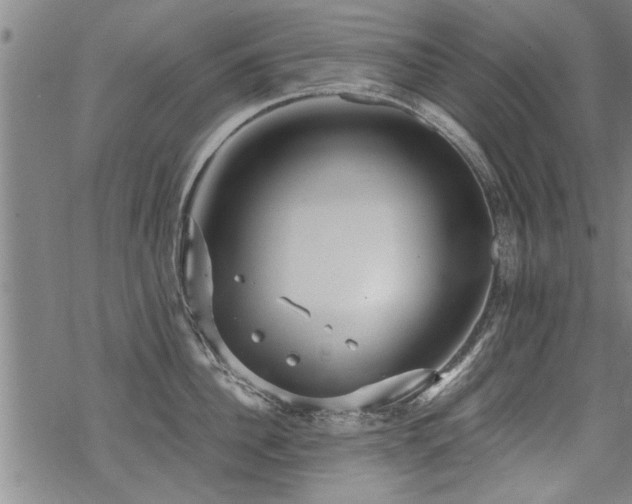 X0000069810956200605191042