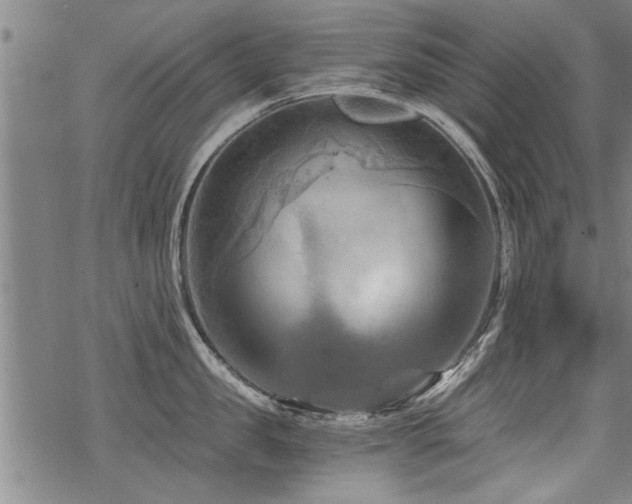 X0000069810957200605191042