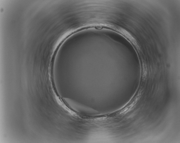 X0000069810958200605191042