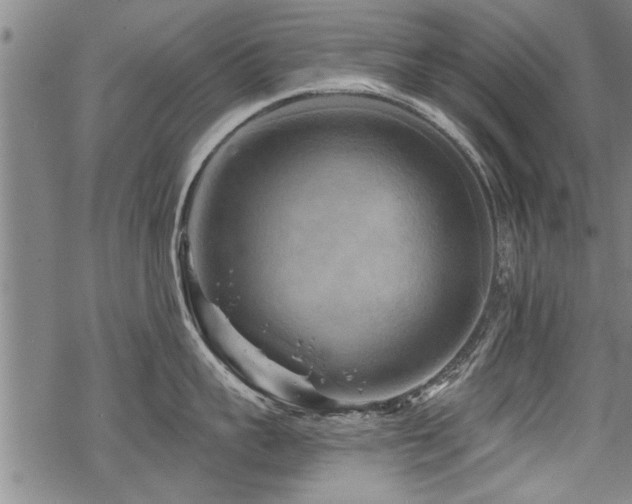 X0000069810959200605191042