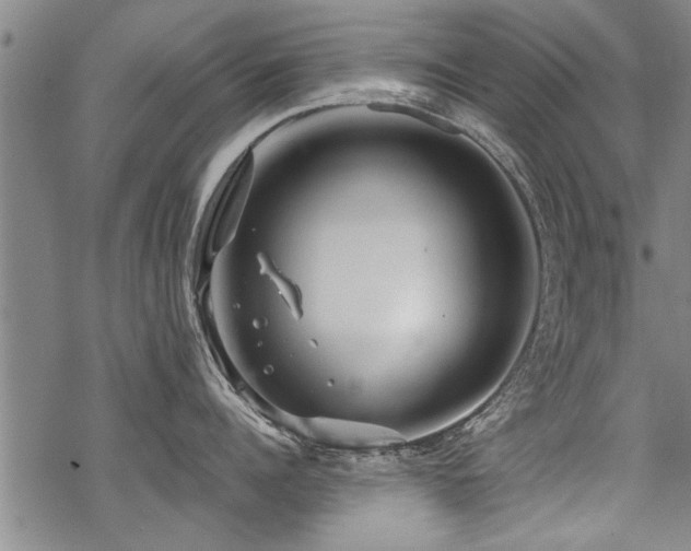 X0000069810960200605191042